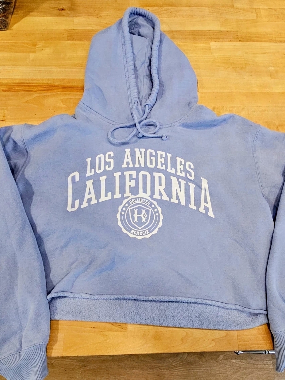 Hollister Light Blue Los Angeles California Crewneck Crop Hoodie